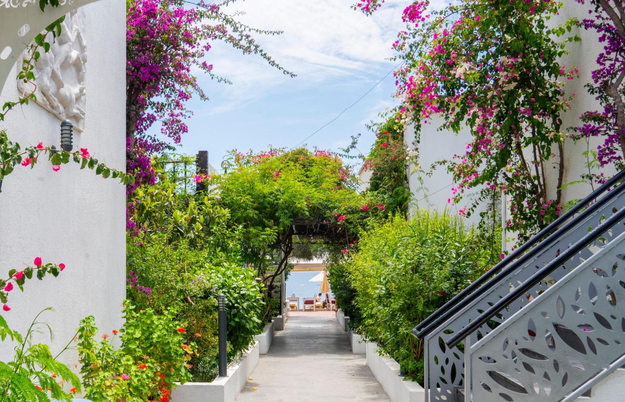 Manuela Boutique Hotel Bitez Exterior foto