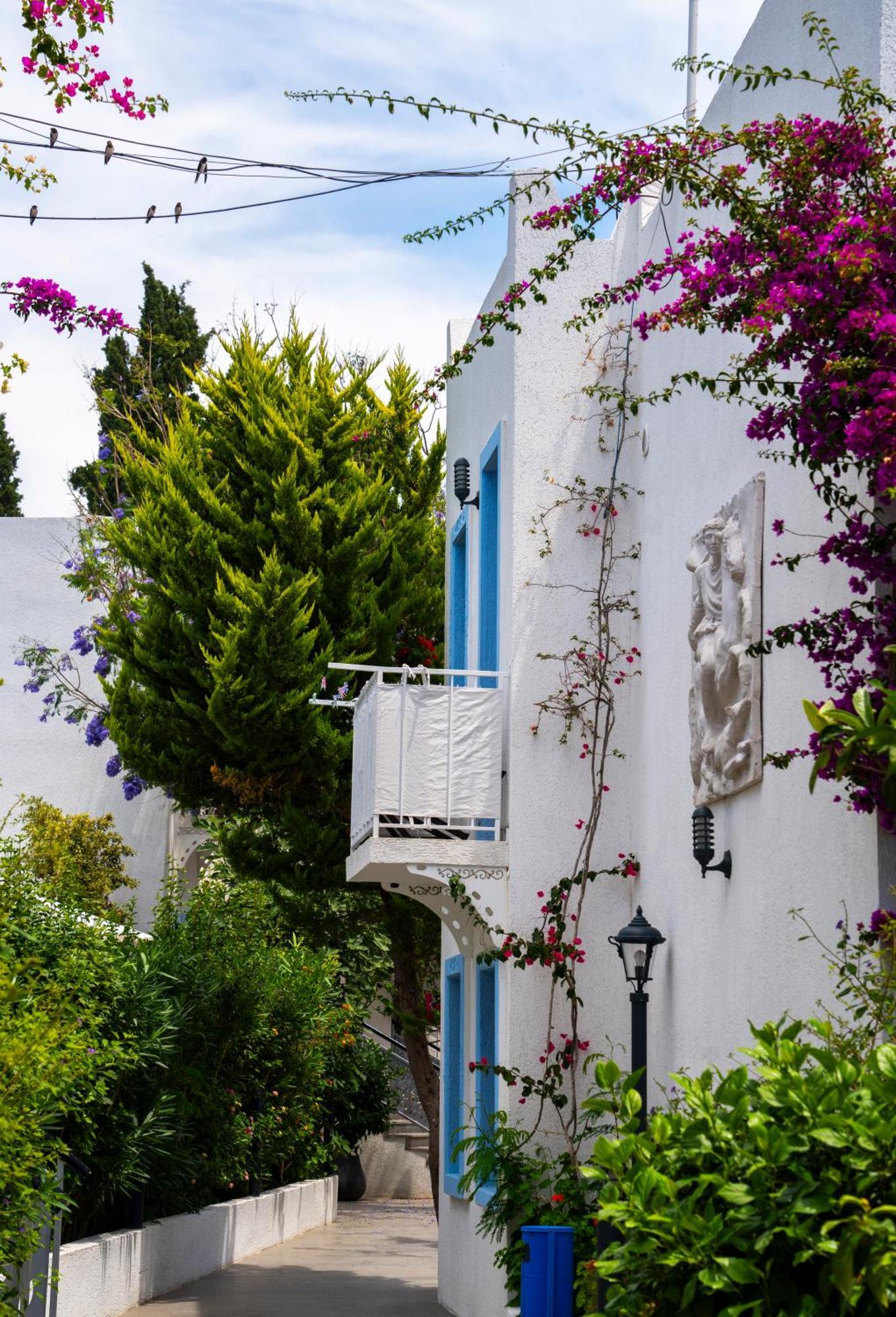 Manuela Boutique Hotel Bitez Exterior foto
