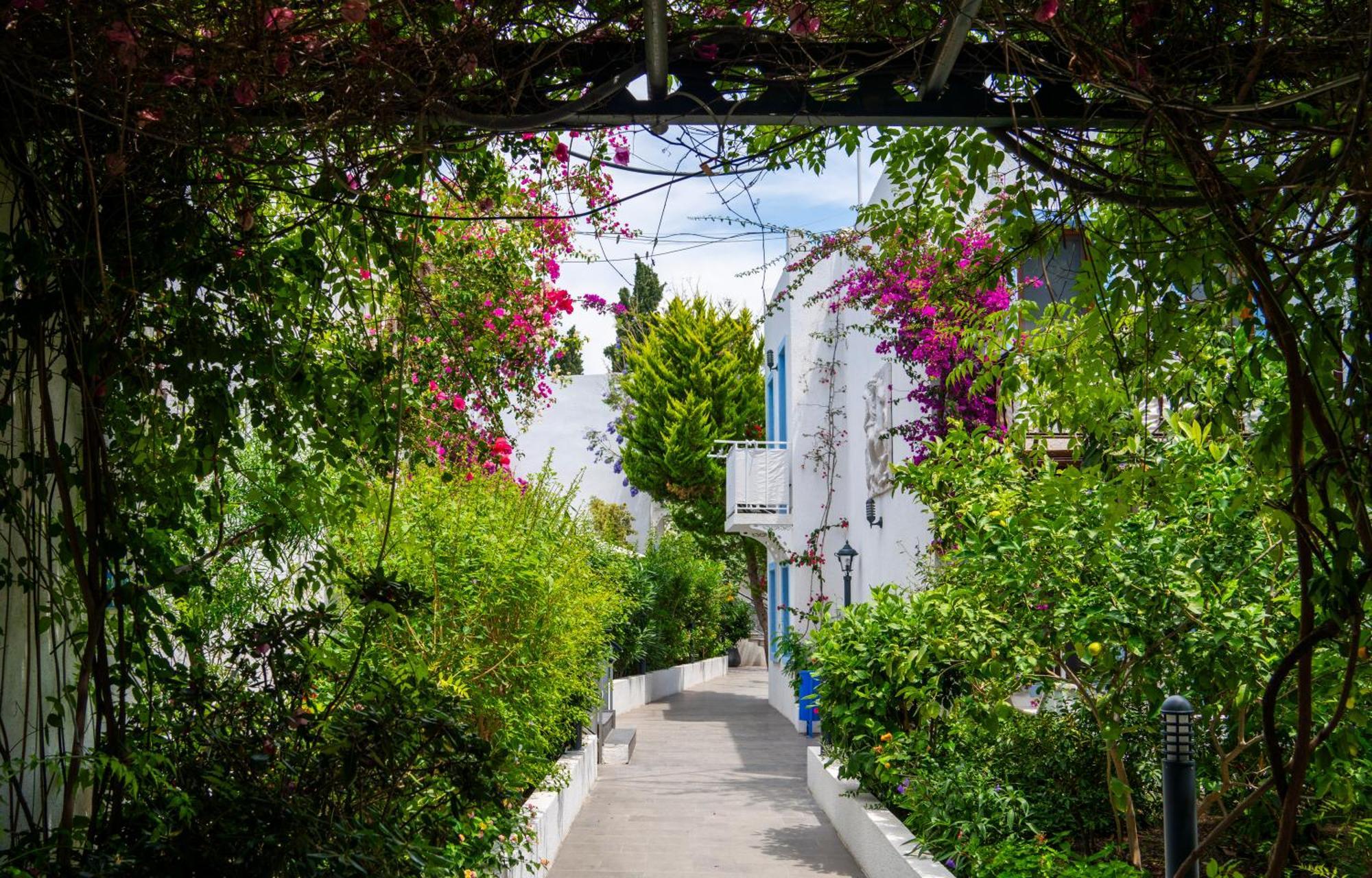 Manuela Boutique Hotel Bitez Exterior foto