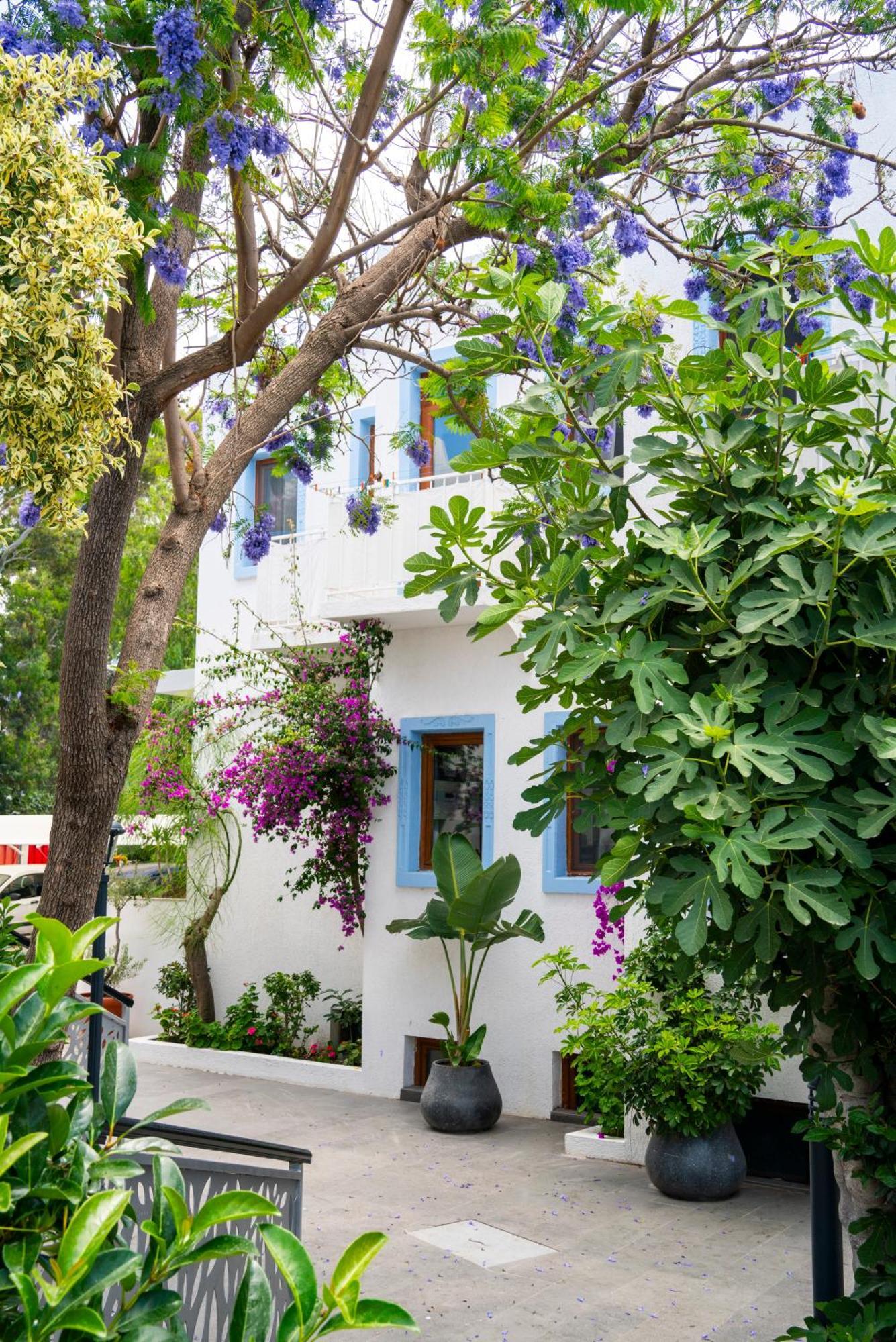 Manuela Boutique Hotel Bitez Exterior foto