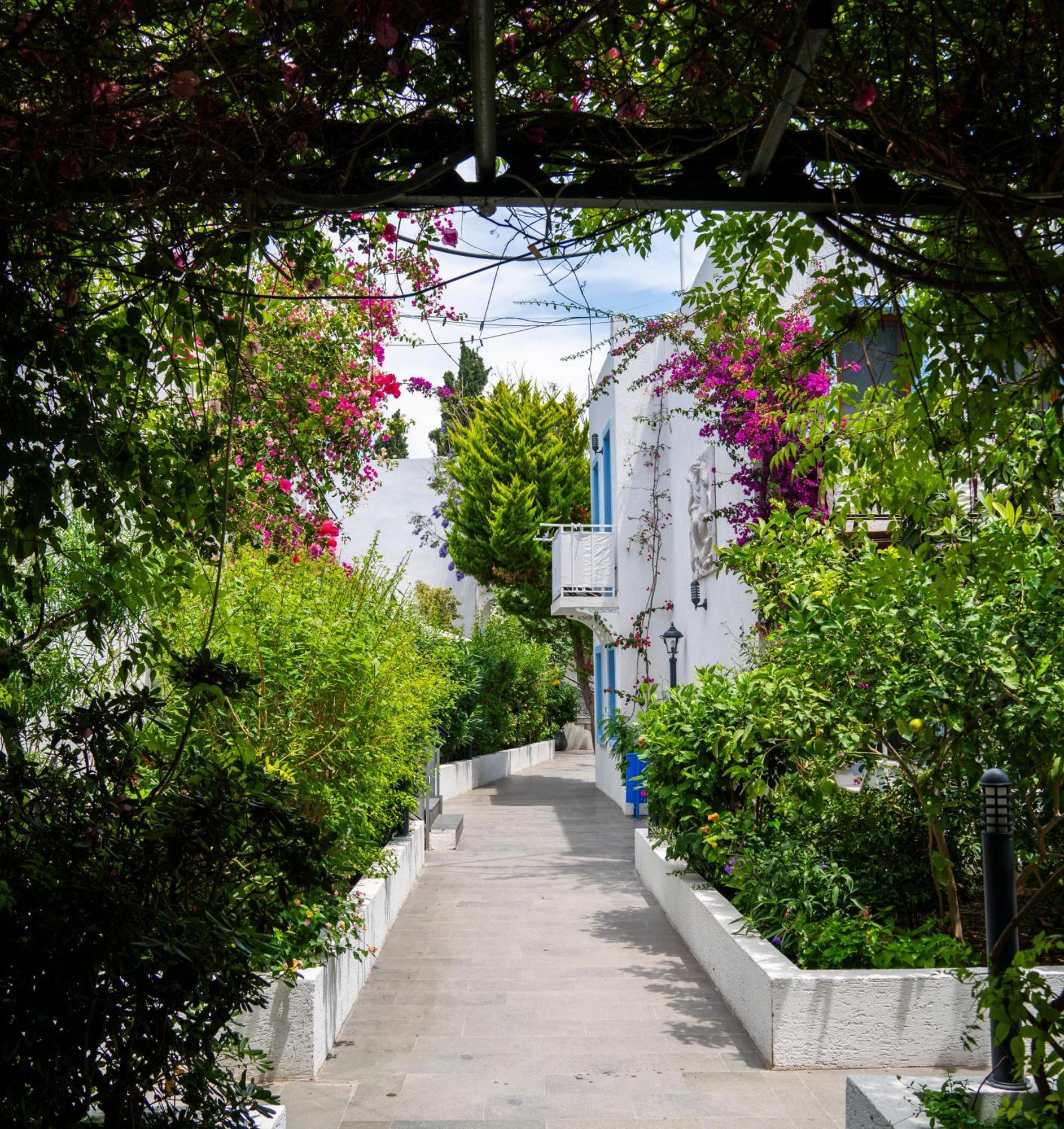Manuela Boutique Hotel Bitez Exterior foto