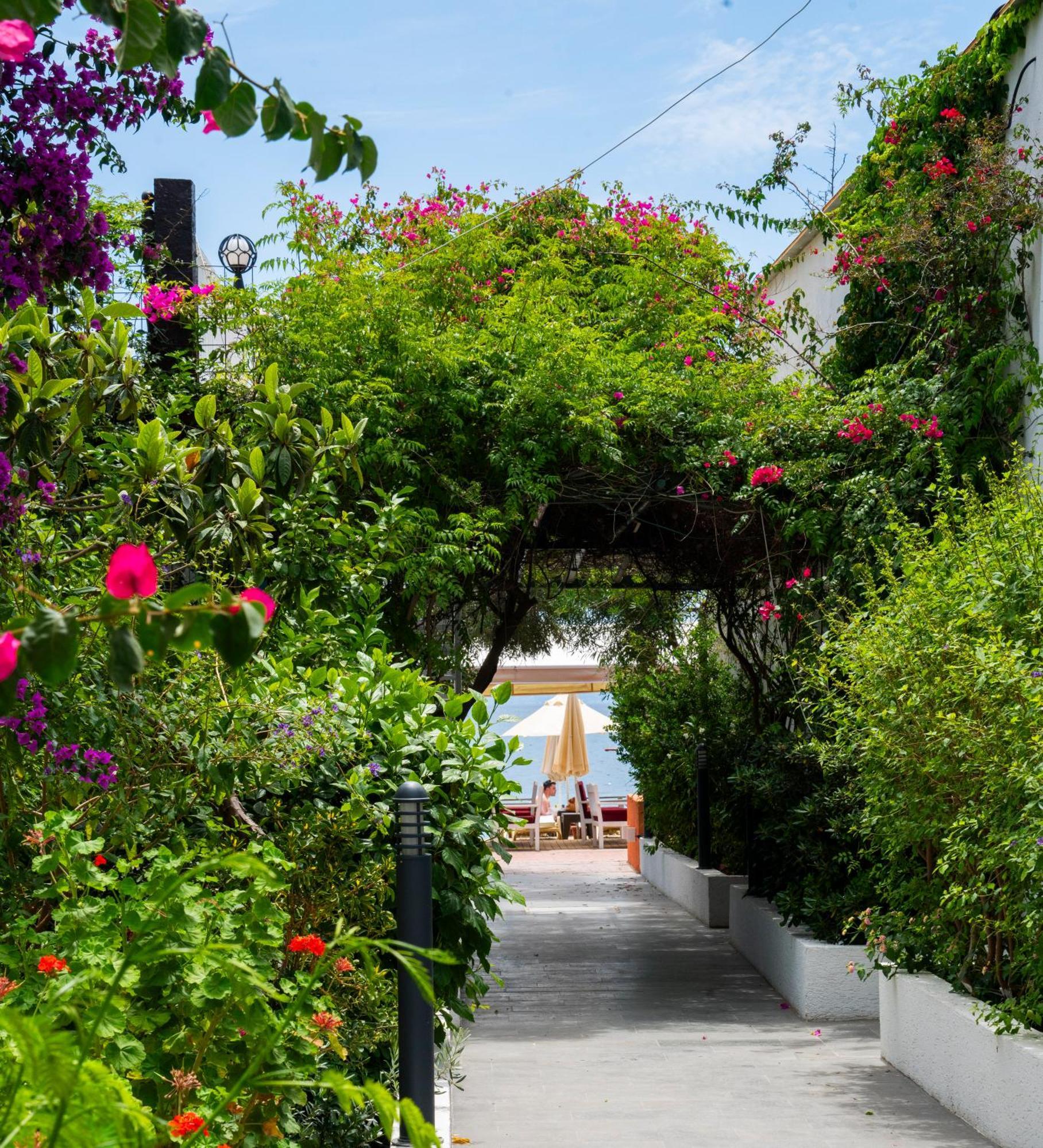 Manuela Boutique Hotel Bitez Exterior foto